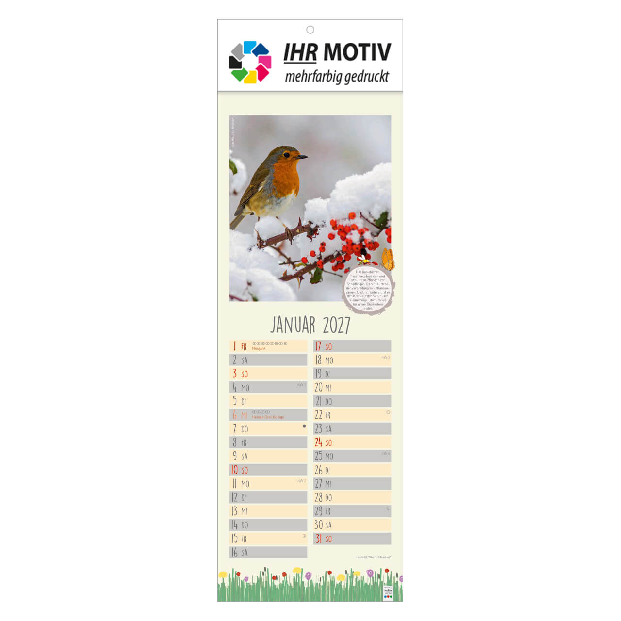/customers_pics/593/artikel/1112115307/Naturnah_2027_Ihr Motiv_138-2027_IhreWerbung-a_1.jpg